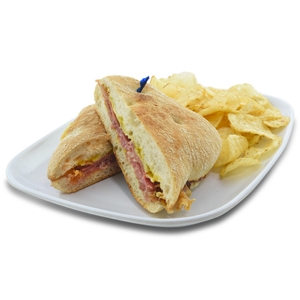 Cheesy Prosciutto Panini